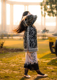 DILRUBA Co Ord Digital Print 2-Piece Stitched Dress.